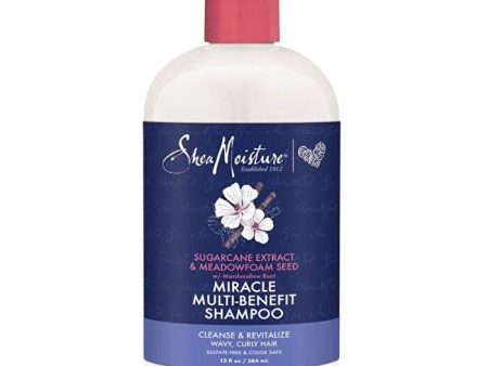 Shea Moisture Sugarcane Extract And Meadowfoam Miracle Multi-benefit Shampoo 384ml For Sale